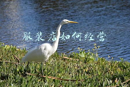 写字楼服装店如何经营；服装店开在写字楼利弊