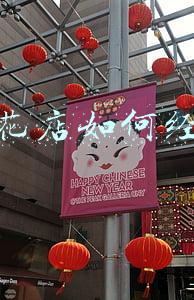 鲜花店如何开成品牌店《怎样开鲜花店》