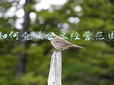 企业经营范围怎么查询_企业经营范围怎么查