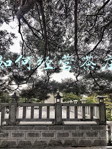 如何经营茶庄园《怎样才能把茶庄经营好》