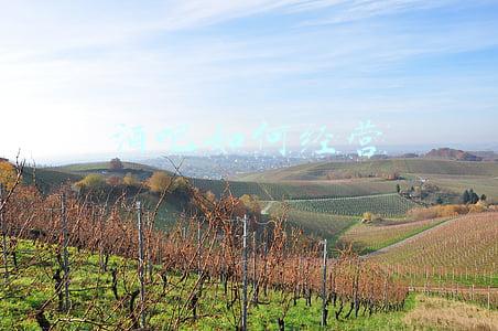 酒吧经营（酒吧如何经营好）