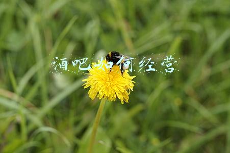 酒吧合伙经营协议书；酒吧合伙人协议