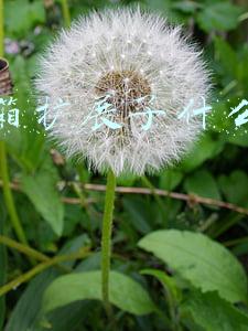 集装箱行业标准(全球标准集装箱尺寸（实用建议收藏）)