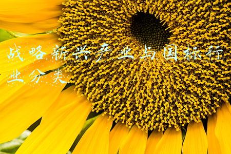 划分新兴产业和传统产业的标准(国家标准《海洋及相关产业分类》修订版发布)