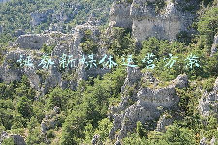 证券新媒体运营方案