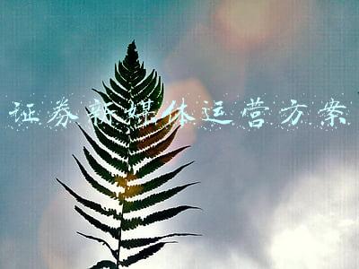 证券新媒体运营方案