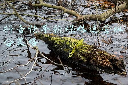 抖音快手新媒体运营组合策略
