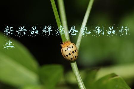 新兴品牌席卷乳制品行业
