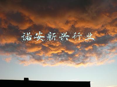 诺安新兴产业混合(诺安上证新兴产业ETF(510260))