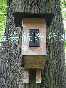 诺安新兴行业