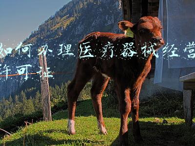 三类医疗器械许可证，三类医疗器械许可证怎么办理