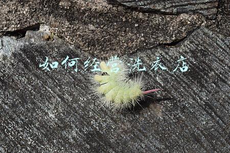 小餐馆怎么经营:如何经营小餐馆