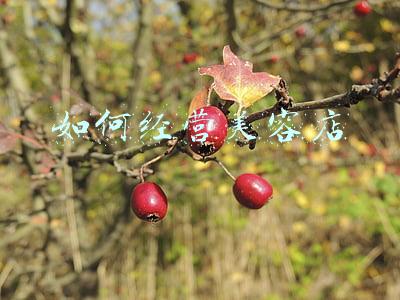 如何经营一家美容店；如何经营一家美容店铺论文