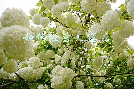 如何经营服装店与管理：如何经营服装店