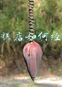 蛋糕店主要经营什么，蛋糕店主要经营范围有哪些