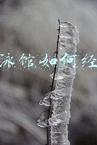 游泳馆经营范围有哪些 游泳馆属于什么经营范围