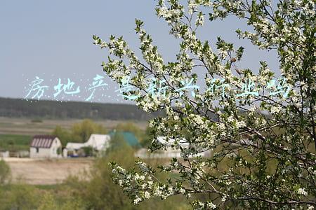 房地产是新兴行业吗