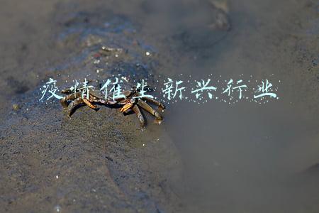 疫情催生新兴行业