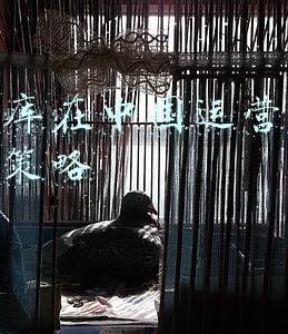 优衣库新媒体营销方案(优衣库O2O营销策略：线上营销费用低 销售目标却翻番)