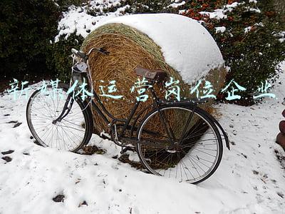 新媒体运营岗位企业