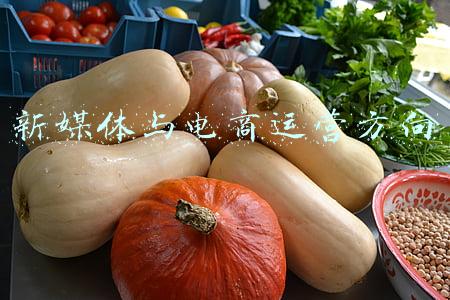 新媒体与电商运营方向