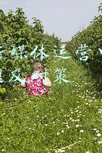 企业新媒体运营中存在的问题及对策