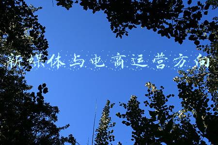 新媒体电商运营职责(新媒体运营是做什么？)