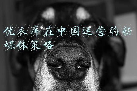 优衣库在中国运营的新媒体策略