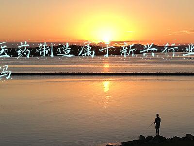 医药制造属于新兴行业吗