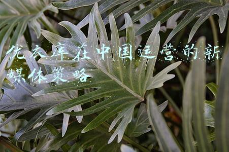 优衣库促销策略(总结：优衣库在中国的营销策略)