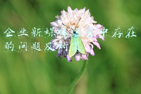 企业新媒体运营中存在的问题及对策