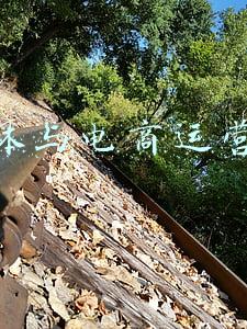 新媒体电商运营体系(2021教会我们如何把传统电商运营和新媒体运营结合到一起)