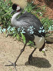 经营品牌_如何经营一个品牌