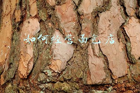 企业如何经营_如何经营一家公司