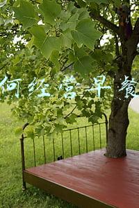 早餐店怎么经营-如何经营早餐店最赚钱