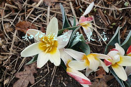 童装店新手怎么经营-如何经营童装店新手