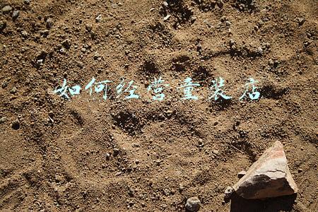 怎么经营童装店的群：怎么经营童装店