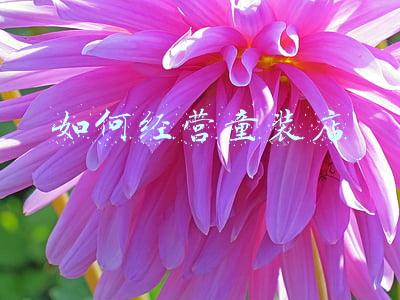 童装店的经营模式（童装店经营模式）