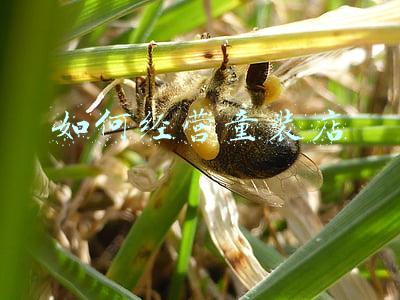 如何经营童装店