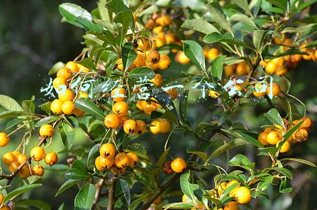 怎样成立一家公司 如何创建自己的公司