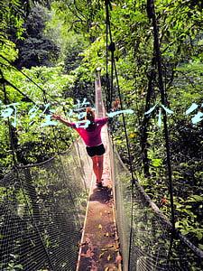 如何查询公司的经营范围：如何查公司经营范围