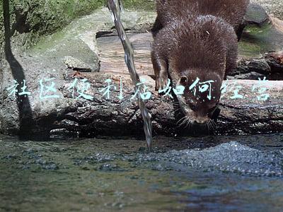 社区便利店经营范围有哪些(便利店的经营范围有哪些)