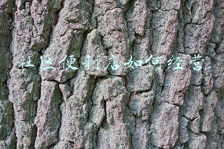 社区便利店 需要和什么结合-社区便利店加什么可以一起做