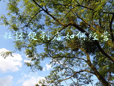 社区便利店经营范围有哪些-社区便利店经营范围