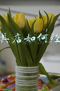 玩具店经营模式《玩具出租店经营模式》