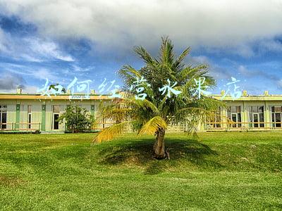 如何经营好一家水果店，水果超市经营模式