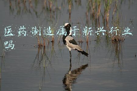 新兴际华医药(海南海药将变身央企医药平台 新兴际华医药拟20亿间接控股24%)