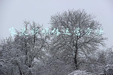 家装新媒体运营方法