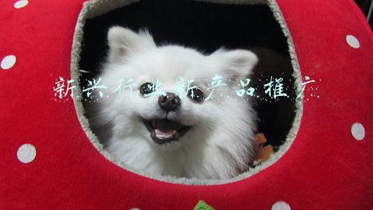 新技术新项目推广应用(梅州8个项目获奖！省农业技术推广奖获奖项目出炉)