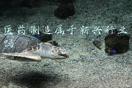 新兴际华医药官网(【校招】100+岗位！新兴际华集团2021年春季招聘启动)